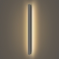 Brilagi - Επιτοίχιο φωτιστικό εξωτερικού χώρου LED LINEAR, 22W, 230V, 3000K, IP65, 100 cm, ανθρακί