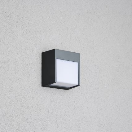 Brilagi - Επιτοίχιο φωτιστικό εξωτερικού χώρου LED TERNI LED/12W/230V ανθρακί IP44