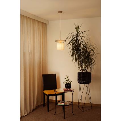 Brilagi - Κρεμαστό φωτιστικό οροφής FOREST 1xE27/15W/230V πεύκο/καφέ/κρεμ