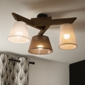 Brilagi - Πλαφονιέρα οροφής ANTHONY 3xE14/40W/230V δρυς