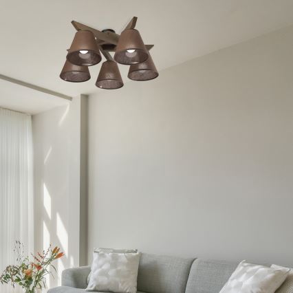 Brilagi - Πλαφονιέρα οροφής ANTHONY 5xE14/40W/230V δρυς/καφέ