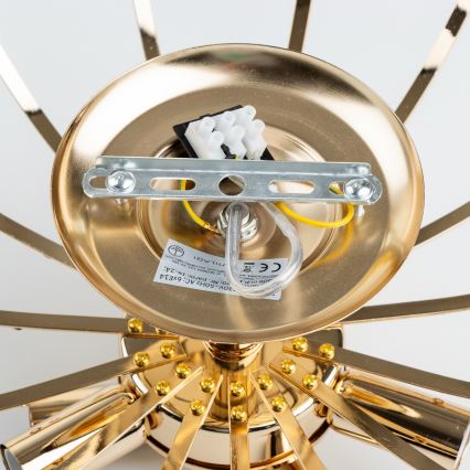 Brilagi - Πλαφονιέρα οροφής CRYSTAL 6xE14/60W/230V χρυσό