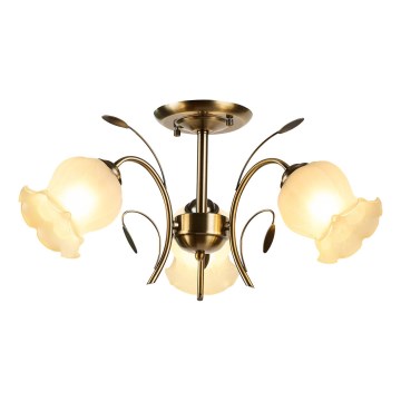 Brilagi - Πλαφονιέρα οροφής FLORA 3xE14/60W/230V μπρονζέ