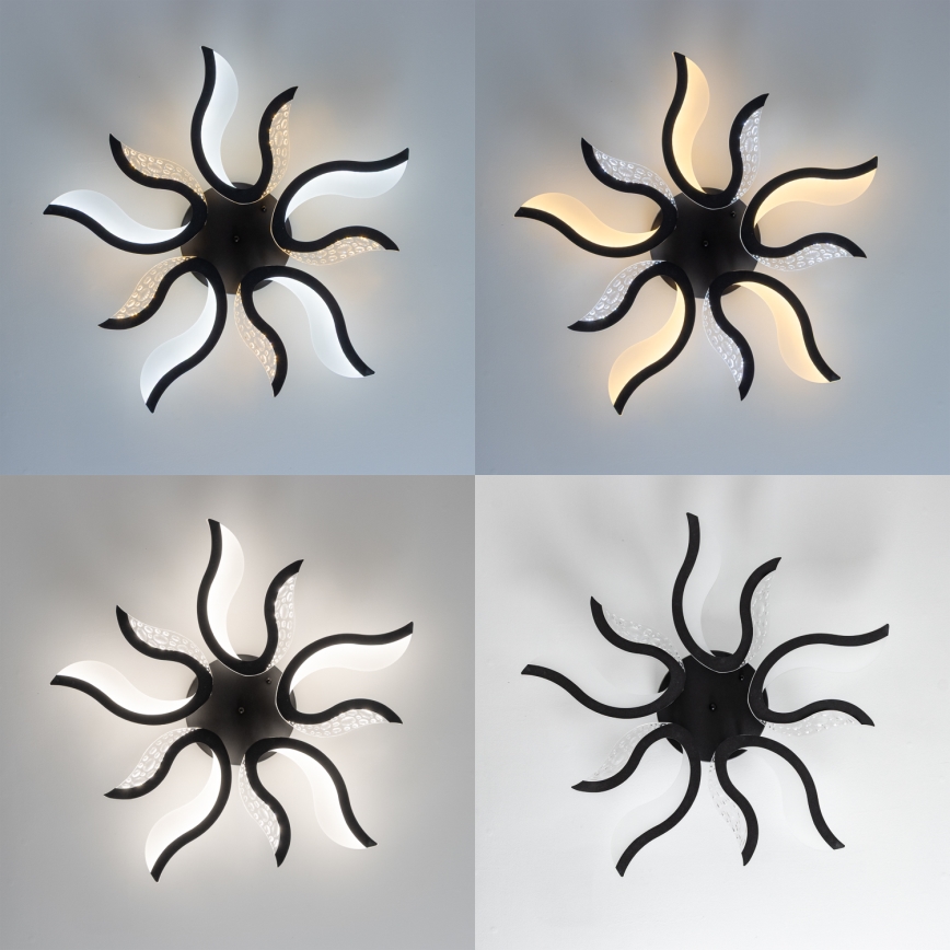 Brilagi - Πλαφονιέρα οροφής ντιμαριζόμενη LED TWIST LED/65W/230V 3000-6500K μαύρο + τηλεχειριστήριο