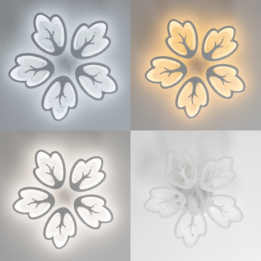 Brilagi - Πλαφονιέρα οροφής ντιμαριζόμενη LED TWIST LED/80W/230V 3000-6500K λευκό + τηλεχειριστήριο