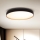 Brilagi - Ρυθμιζόμενο LED οροφής φωτιστικό CALA LED/48W/230V 3000-6500K διάμ. 38 εκ. + τηλεχειριστήριο