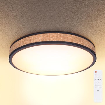 Brilagi - Ρυθμιζόμενο LED οροφής φωτιστικό ROSA LED/48W/230V 3000-6500K διάμ. 38 εκ. + τηλεχειριστήριο