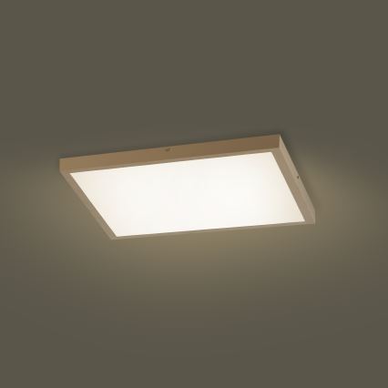 Brilagi - Ρυθμιζόμενο LED φωτιστικό οροφής για μπάνιο FRAME SMART LED/50W/230V 60x60 cm 3000-6000K IP44 μπεζ + τηλεχειριστήριο