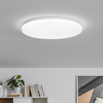 Brilagi - Ρυθμιζόμενο LED φωτιστικό οροφής PINE LED/24W/230V Ø 42 cm 3000-6500K + τηλεχειριστήριο