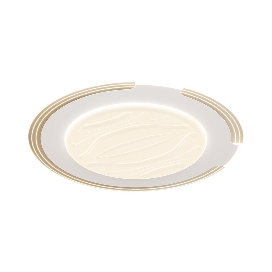 Brilagi - Ρυθμιζόμενο LED φωτιστικό οροφής ORELIS LED/80W/230V 3000-6000K Ø 50 εκ. + τηλεχειριστήριο