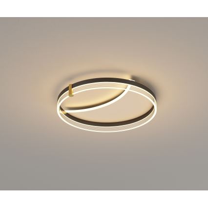 Brilagi - Ρυθμιζόμενο LED φωτιστικό οροφής SIRELI LED/47W/230V 3000-6000K διάμ. 40 cm + τηλεχειριστήριο