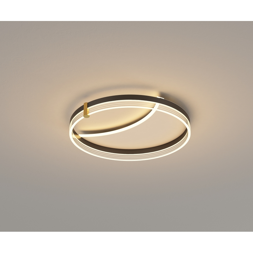 Brilagi - Ρυθμιζόμενο LED φωτιστικό οροφής SIRELI LED/47W/230V 3000-6000K διάμ. 40 cm + τηλεχειριστήριο