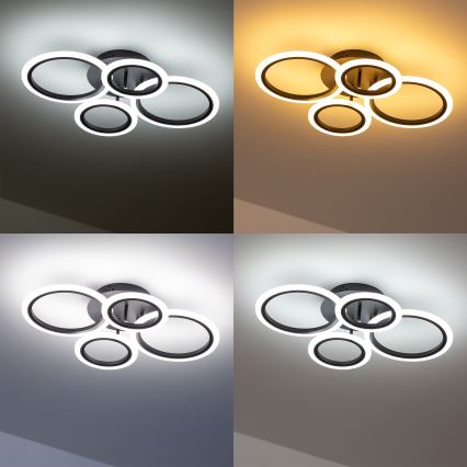 Brilagi - Σταθερό πολύφωτο dimming LED ORBITS LED/50W/230V 3000-6500K ανθρακί + τηλεχειριστήριο