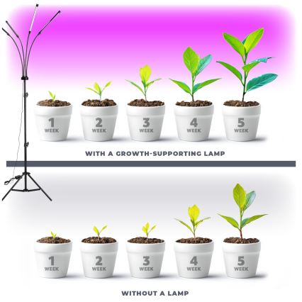 Brilagi - LED Dimming εύκαμπτο επιδαπέδιο φωτιστικό για ανάπτυξη φυτών VITABLOOM 4xLED/7,5W/230V μαύρο