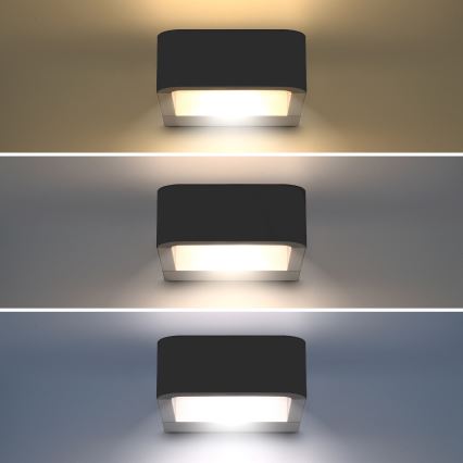 Brilagi - Επιτοίχιο φωτιστικό εξωτερικού χώρου LED BARI LED/7W/230V 3000/4000/6000K ανθρακί IP54