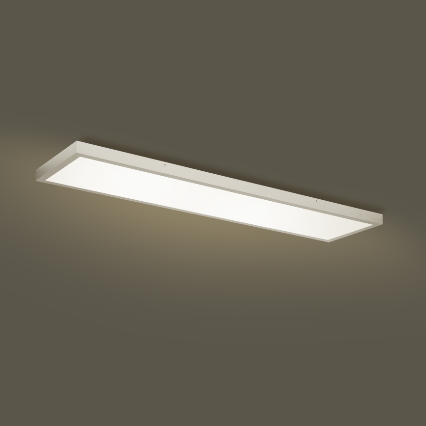 Brilagi - Φωτιστικό οροφής μπάνιου dimming LED FRAME SMART LED/50W/230V 120x30 cm 3000-6000K IP44 ασημί + τηλεχειριστήριο