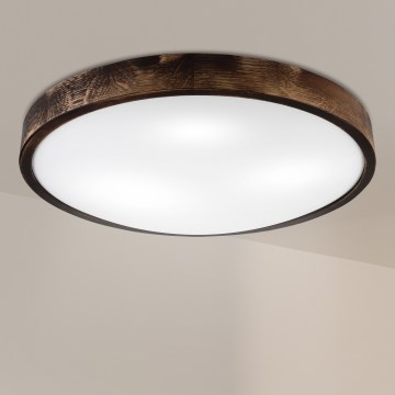 Brilagi - Φωτιστικό οροφής CARVALHO SLIM SMOKEY 3xE27/60W/230V σε απόχρωση δρυός Ø 47,5 cm