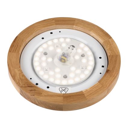 Brilagi - Φωτιστικό οροφής LED BELLADONNA LED/20W/230V Ø 30 cm λευκό/δρυς