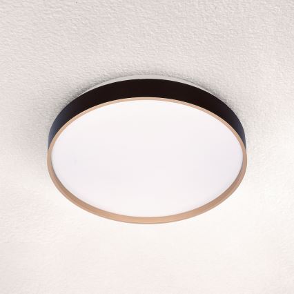 Brilagi - Φωτιστικό οροφής LED CALA LED/24W/230V