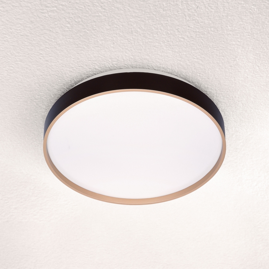 Brilagi - Φωτιστικό οροφής LED CALA LED/24W/230V