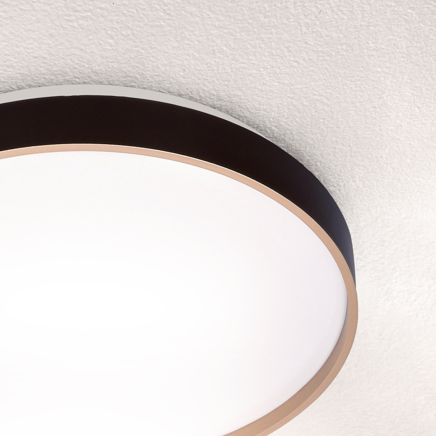 Brilagi - Φωτιστικό οροφής LED CALA LED/24W/230V