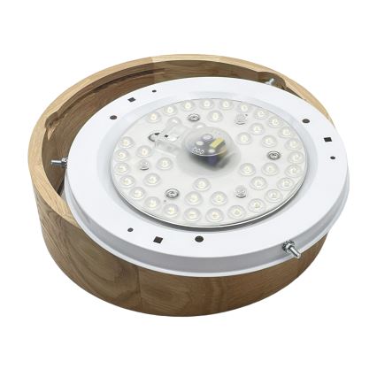 Brilagi - Φωτιστικό οροφής LED CARVALHO LED/20W/230V σε απόχρωση δρυός Ø 27,5 εκ.