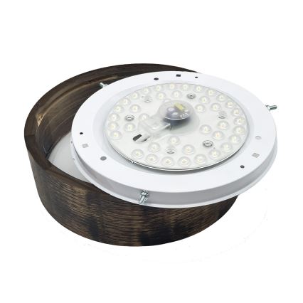Brilagi - Φωτιστικό οροφής LED CARVALHO SMOKEY LED/20W/230V, φινίρισμα δρυός, διάμ. 27,5 εκ.