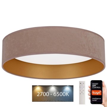 Brilagi - Φωτιστικό οροφής LED Dimmable VELVET SMART LED/36W/230V δ. 55 cm 2700-6500K Wi-Fi Tuya μπεζ/χρυσό + τηλεχειριστήριο