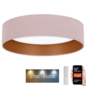 Brilagi - Φωτιστικό οροφής LED Dimmable VELVET SMART LED/36W/230V δ. 55 cm 2700-6500K Wi-Fi Tuya ροζ/χρυσό + τηλεχειριστήριο