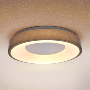Brilagi - Φωτιστικό οροφής LED DORIA LED/24W/230V