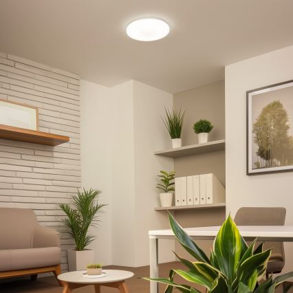Brilagi - Φωτιστικό οροφής LED OPAL LED/24W/230V
