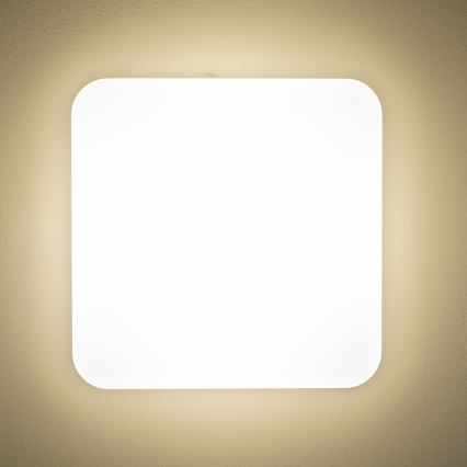 Brilagi - Φωτιστικό οροφής LED PLAIN LED/24W/230V 3000K