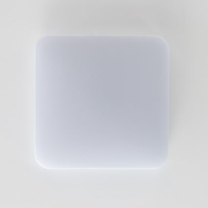 Brilagi - Φωτιστικό οροφής LED PLAIN LED/24W/230V 3000K