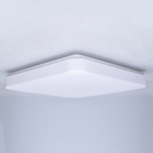 Brilagi - Φωτιστικό οροφής LED PLAIN LED/24W/230V