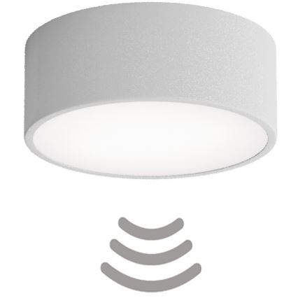 Brilagi - Φωτιστικό οροφής με αισθητήρα CLARE 1xE27/24W/230V διάμετρος 20 cm γκρι