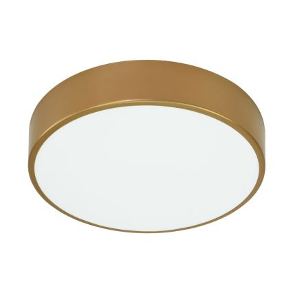 Brilagi - Φωτιστικό οροφής μπάνιου CLARE 3xE27/24W/230V διάμετρος 40 cm IP54 χρυσαφί