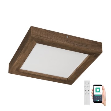 Brilagi - Φωτιστικό οροφής μπάνιου dimming LED WOODY FRAME LED/24W/230V δρυς 30x30 cm 3000-6000K IP44 + τηλεχειριστήριο