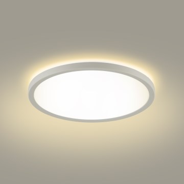 Brilagi - Φωτιστικό οροφής μπάνιου LED ULTRA SLIM LED/12W/230V διάμετρος 22,5 cm λευκό IP54
