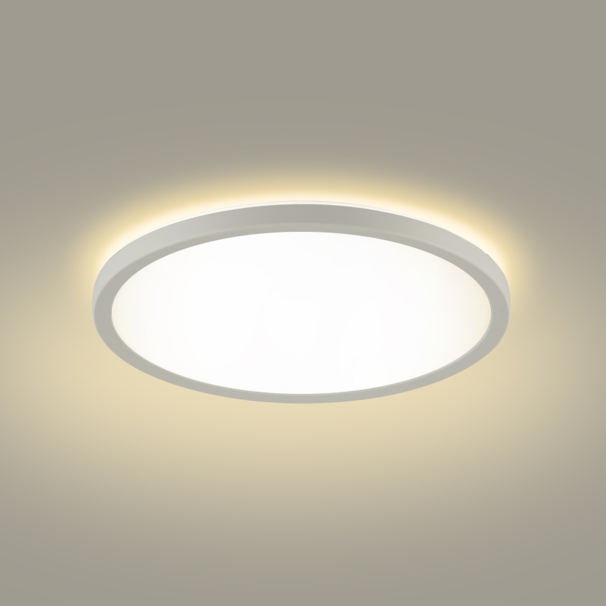 Brilagi - Φωτιστικό οροφής μπάνιου LED ULTRA SLIM LED/12W/230V διάμετρος 22,5 cm λευκό IP54