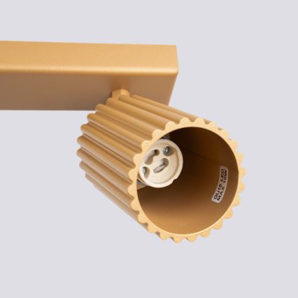 Brilagi - Φωτιστικό σποτ CRESTO 2xGU10/10W/230V χρυσό