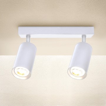 Brilagi - Φωτιστικό σποτ SELE 2xGU10/30W/230V λευκό