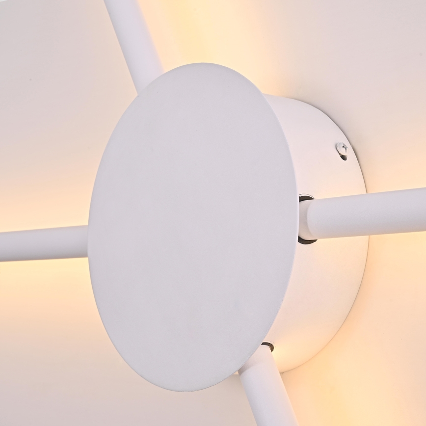 Brilagi - Φωτιστικό τοίχου LED LUGO QUATTRO LED/16W/230V λευκό
