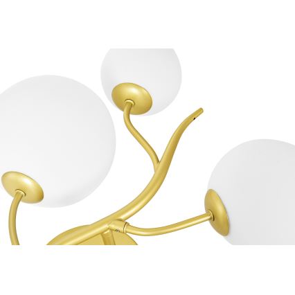 Brilagi - Φωτιστικό τοίχου LED MISTEL 3xG9/3W/230V χρυσό/λευκό