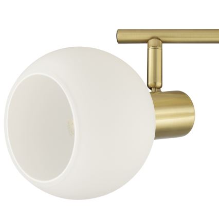 Brilliant - Φωτιστικό σποτ CONY 2xE14/20W/230V, ορείχαλκο