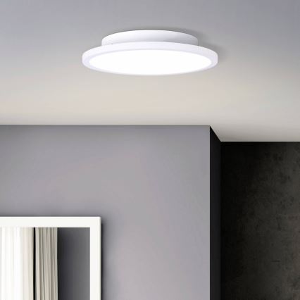 Brilliant - Φωτιστικό οροφής LED BUFFI LED/13W/230V διάμετρος 25 cm 2700K
