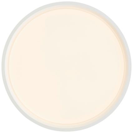 Brilliant - Φωτιστικό οροφής LED KALMAR LED/26W/230V 3000K διάμετρος 39 cm λευκό