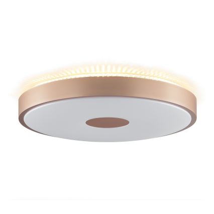Brilliant - Φωτιστικό οροφής TAVIS LED/24W/230V, διάμετρος 44,5 εκ., ροζ χρυσό