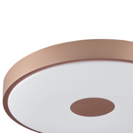 Brilliant - Φωτιστικό οροφής TAVIS LED/24W/230V, διάμετρος 44,5 εκ., ροζ χρυσό