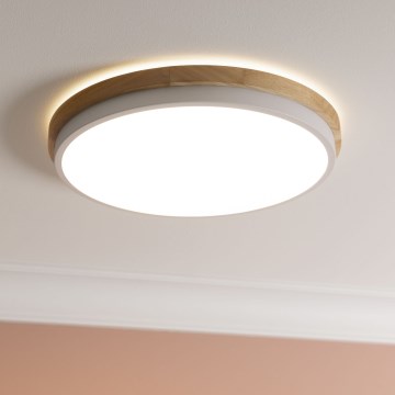 Brilliant - LED Dimmable φωτιστικό οροφής BAARLO LED/24W/230V διάμετρος 35 cm λευκό/καουτσουκόδεντρο