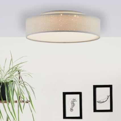 Brilliant - LED Dimmable φωτιστικό οροφής BASKA LED/12W/230V διάμετρος 38 cm 3000K